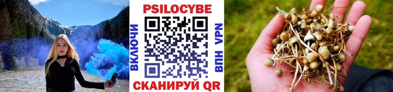 Галлюциногенные грибы Cubensis Княгинино